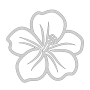 Leis of Polynesia